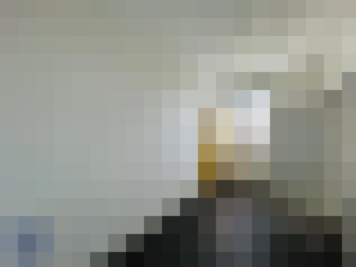  / #15