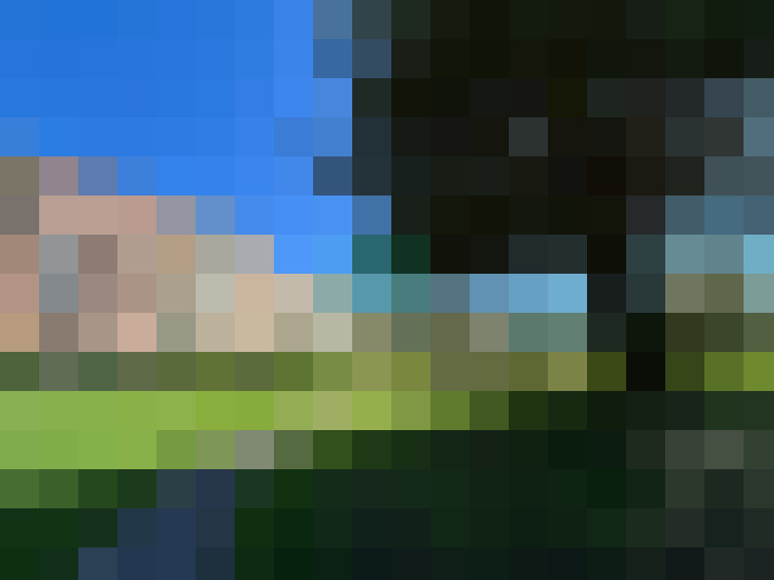  / #16