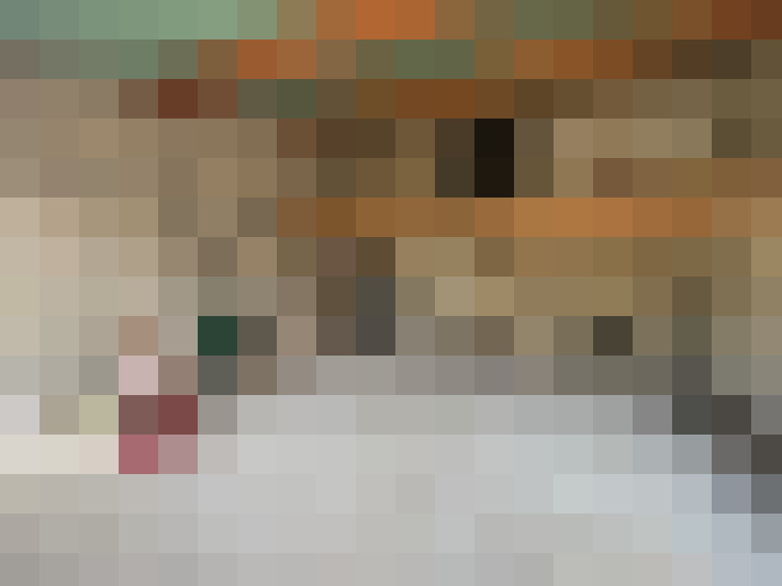  / #13
