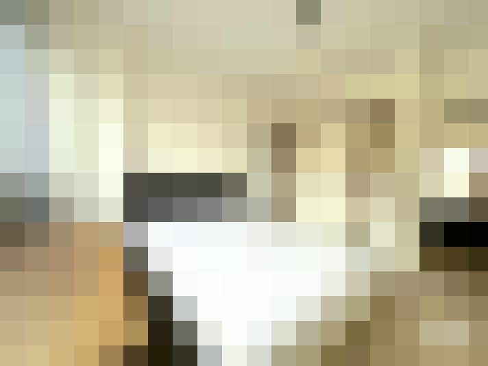  / #15