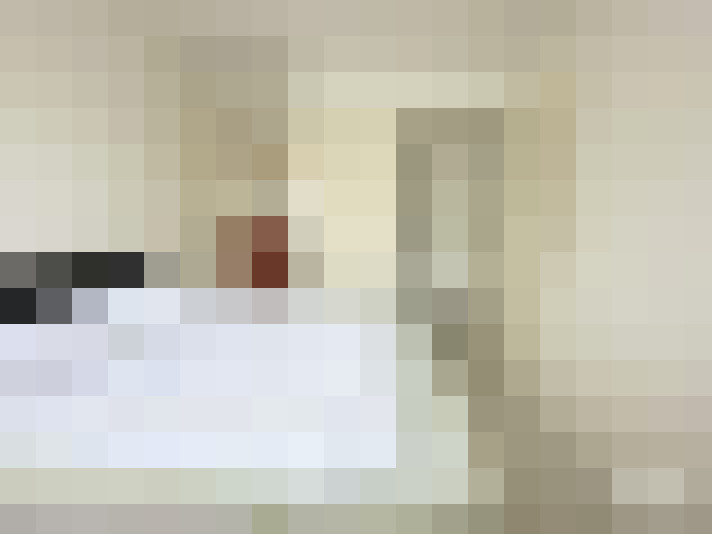  / #14