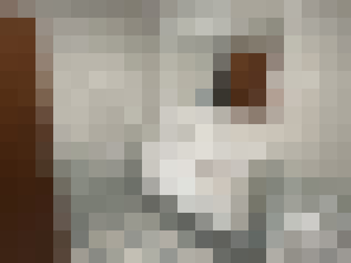  / #16