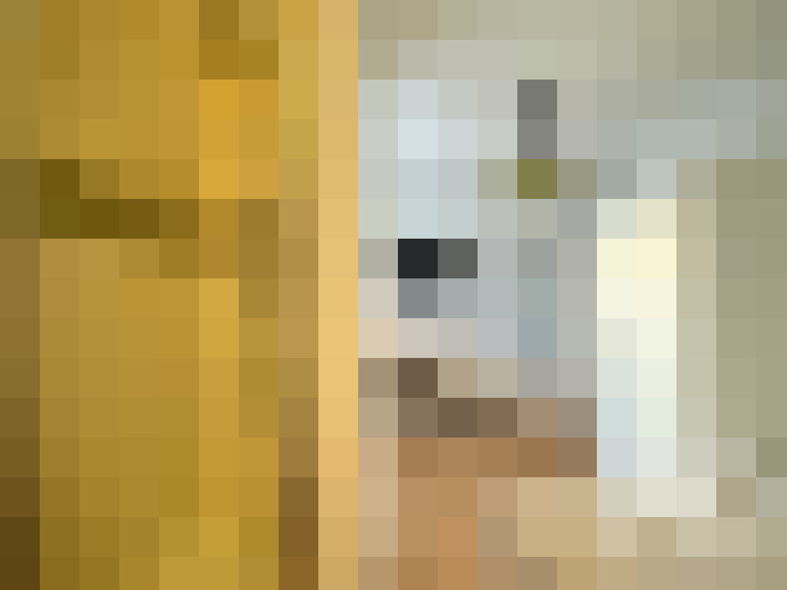  / #13