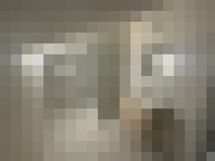  / #14