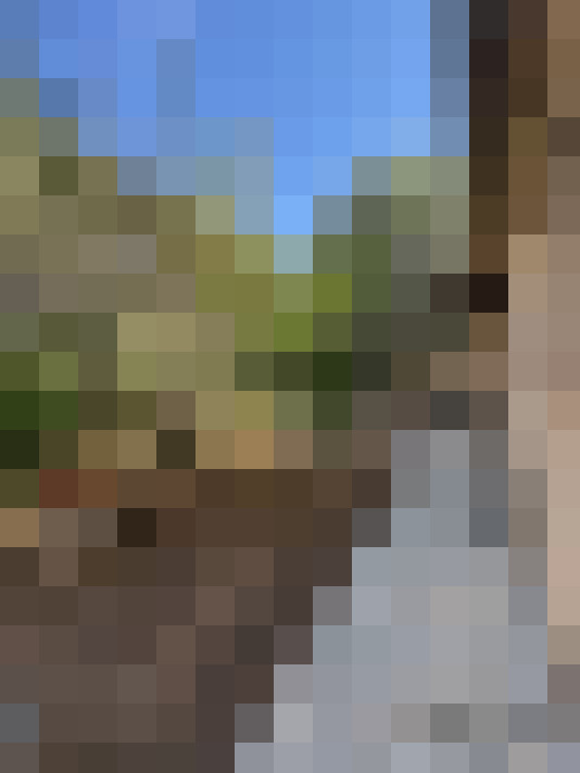  / #17