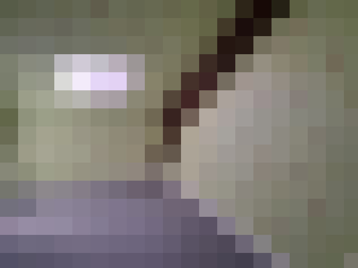  / #7