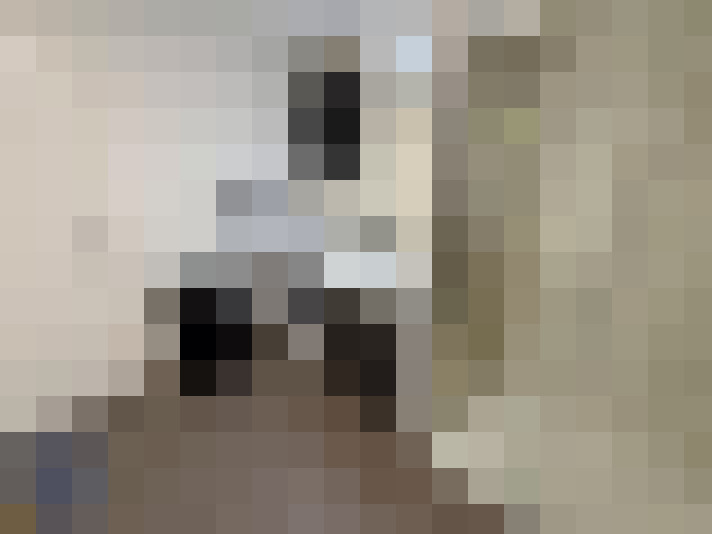 / #11
