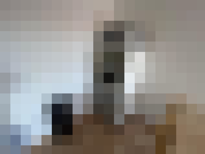  / #8