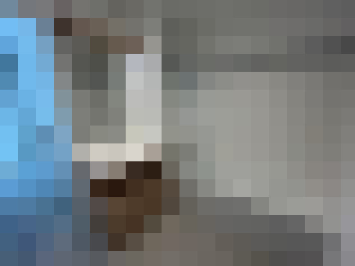  / #8
