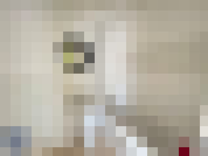  / #8