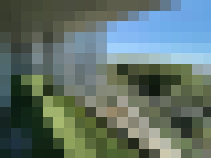 / #7
