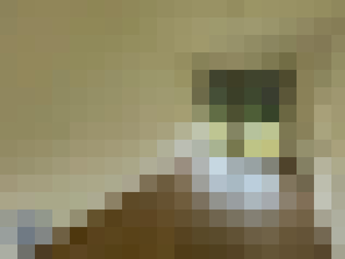  / #6
