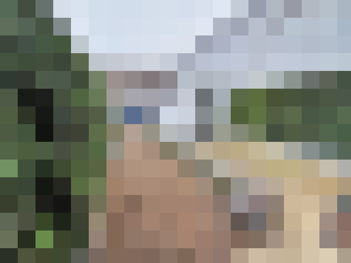  / #15
