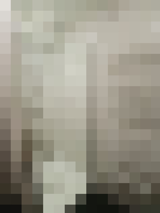  / #11