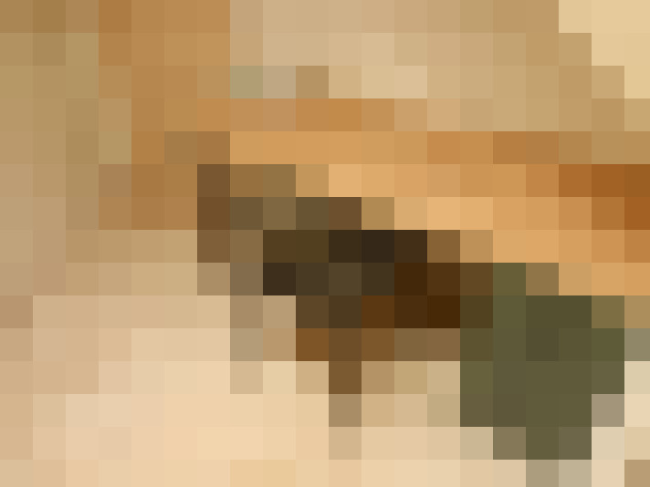  / #15