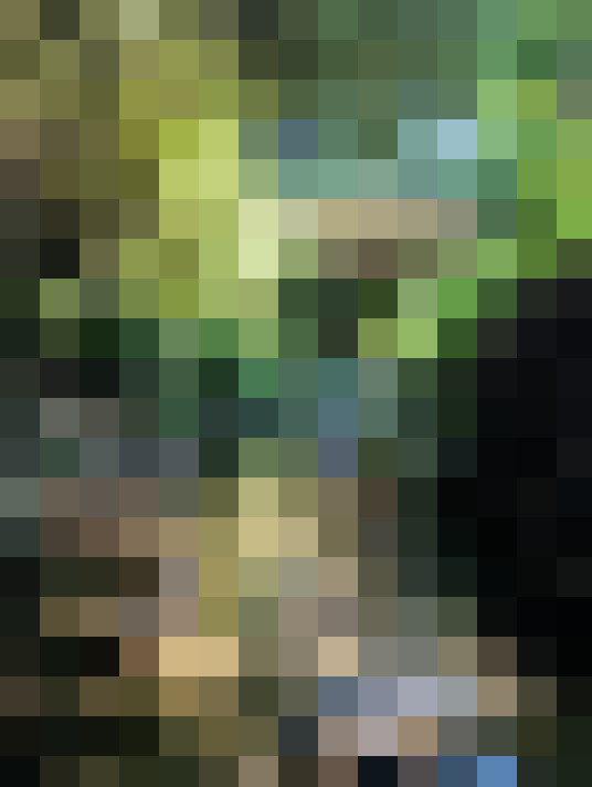  / #14
