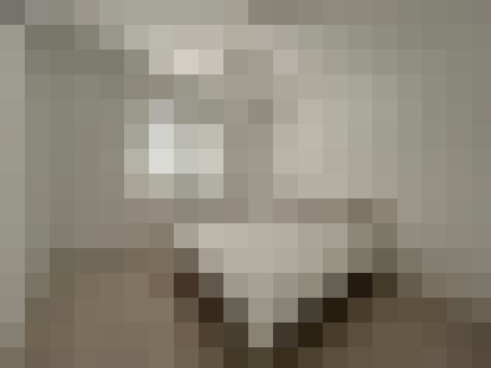  / #8