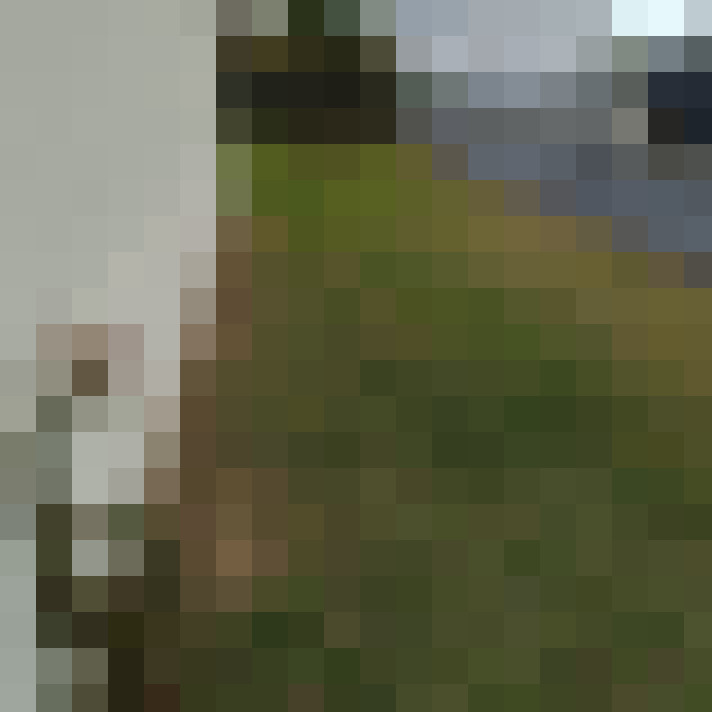  / #13