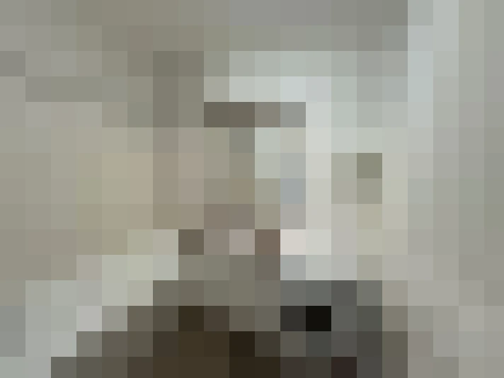  / #8