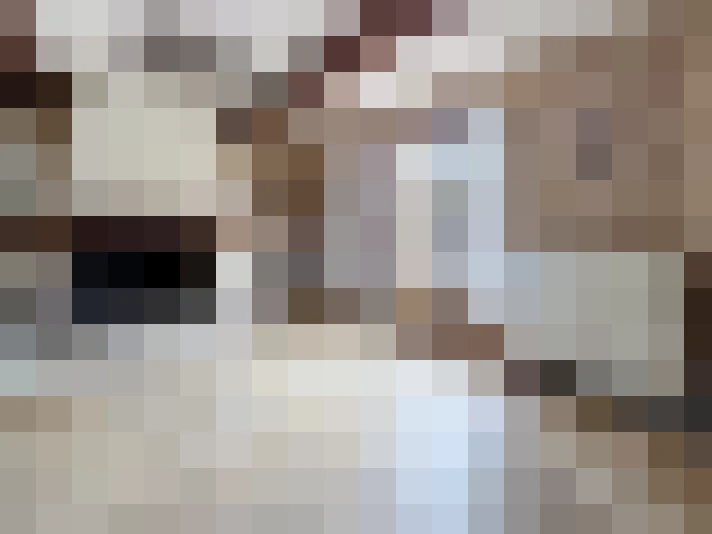  / #19