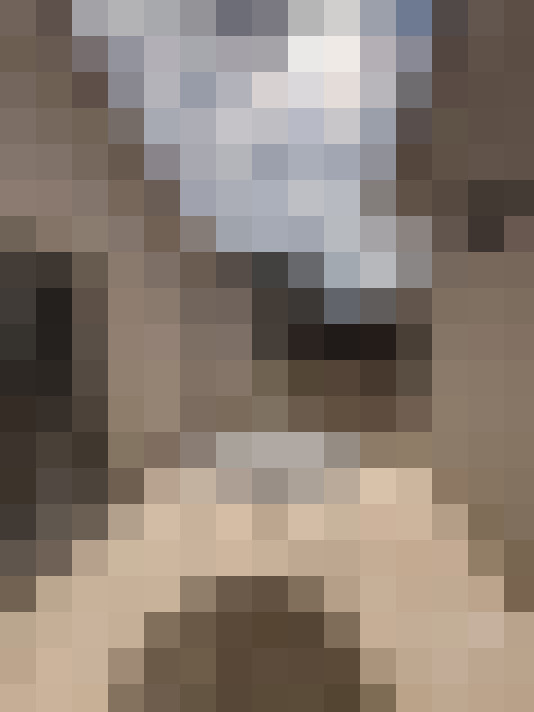  / #11