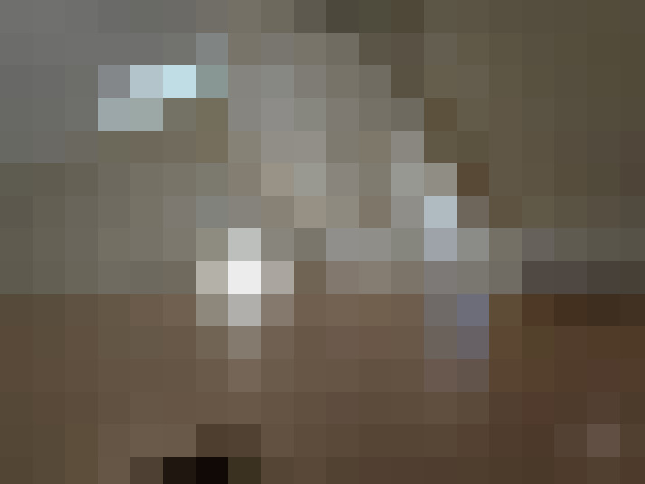  / #8