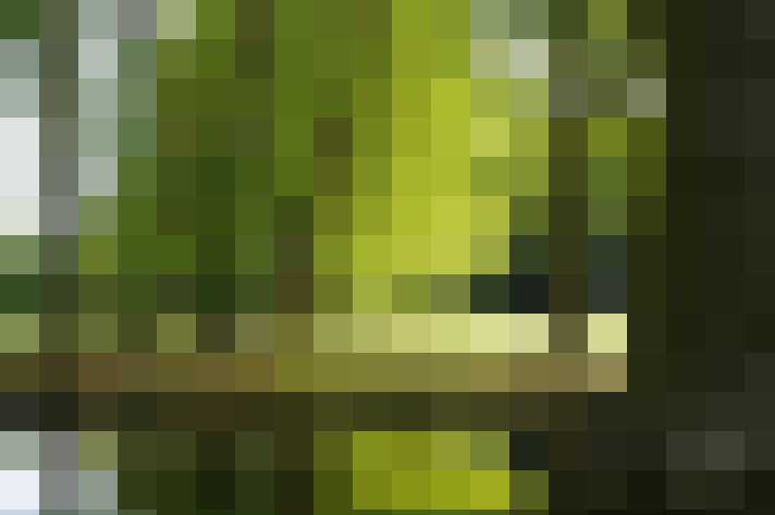  / #9