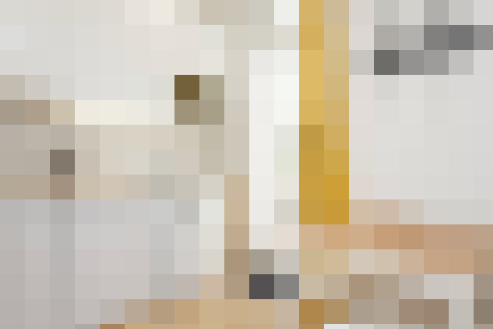  / #11