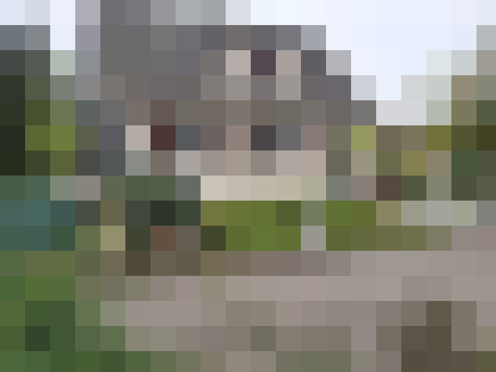  / #11