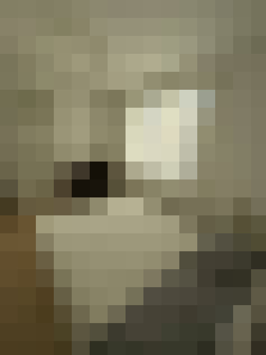  / #9