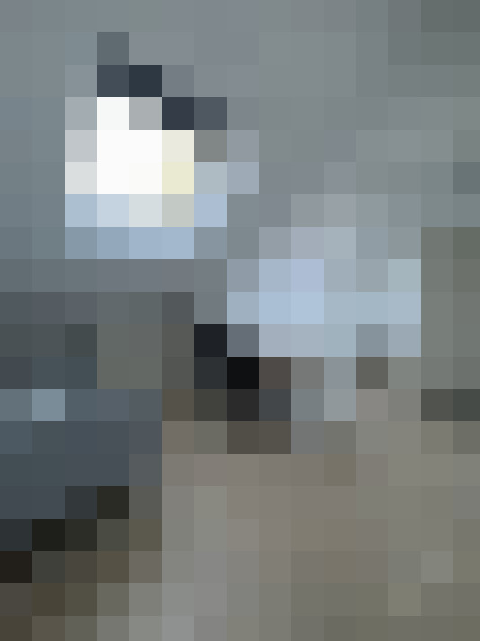  / #12