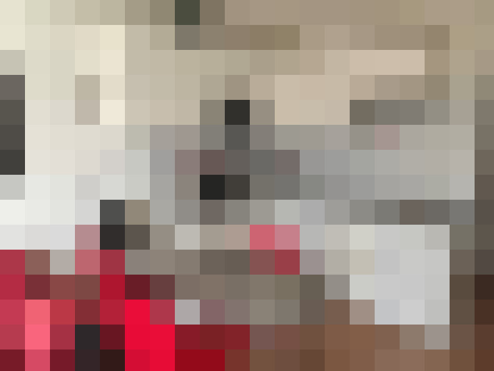  / #8