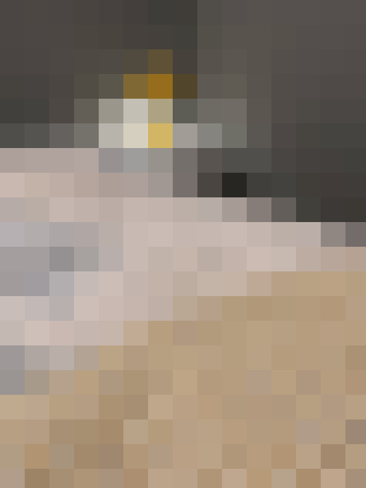  / #11