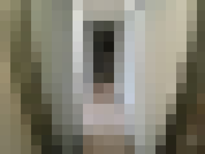  / #11