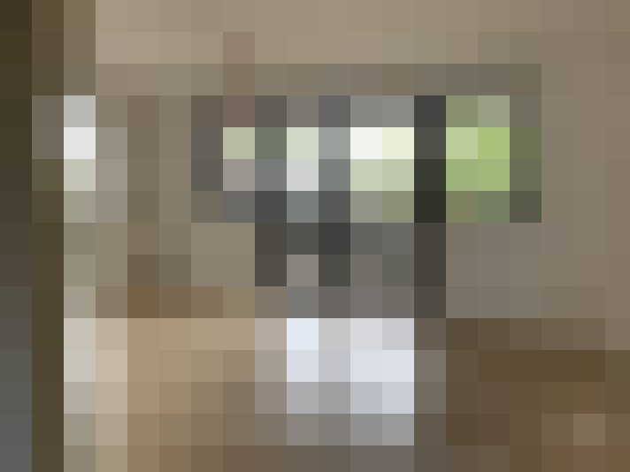  / #7
