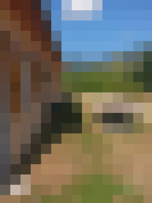  / #12