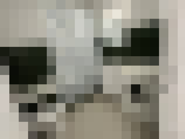  / #8
