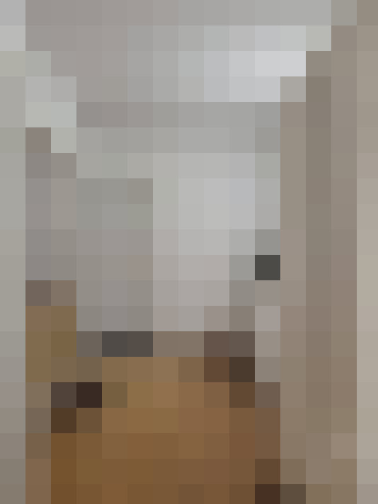 / #11