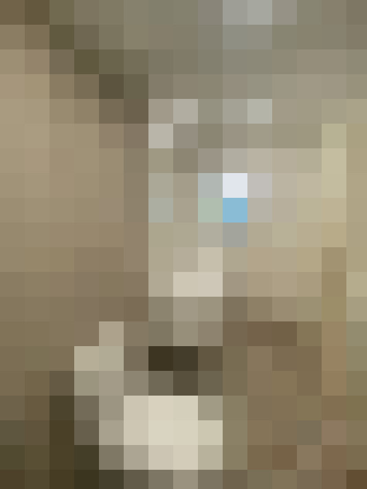  / #8