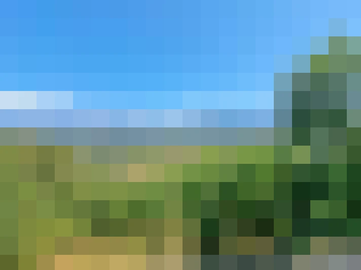  / #7
