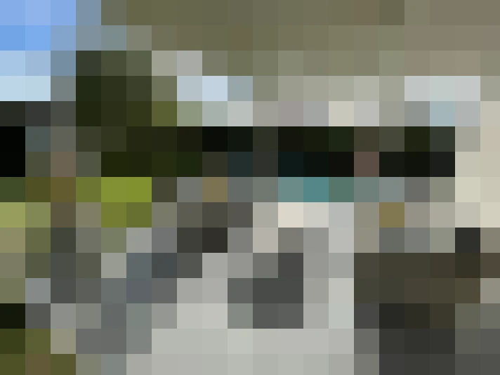  / #11