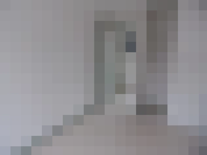  / #11