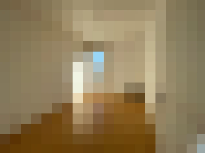 / #11