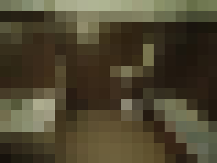  / #8