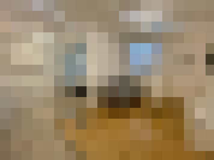  / #14
