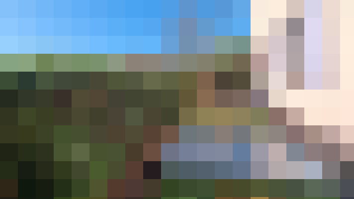  / #8