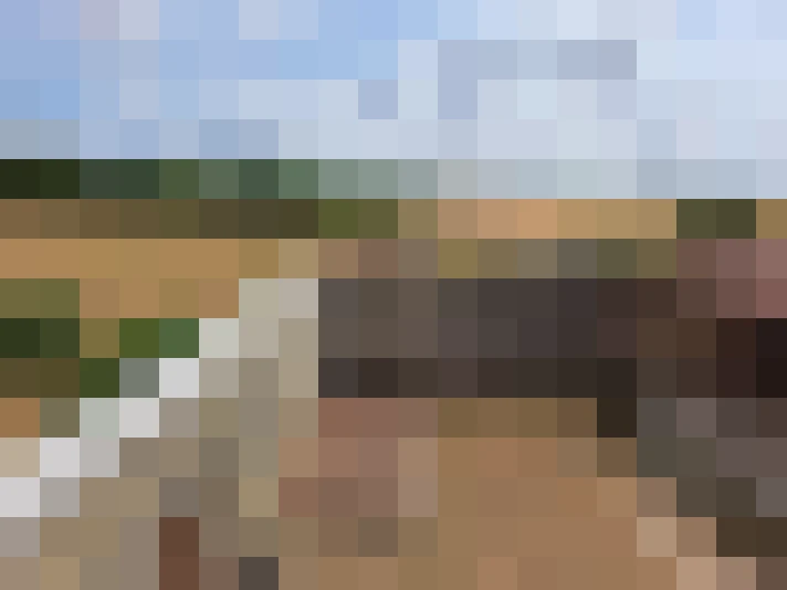  / #16