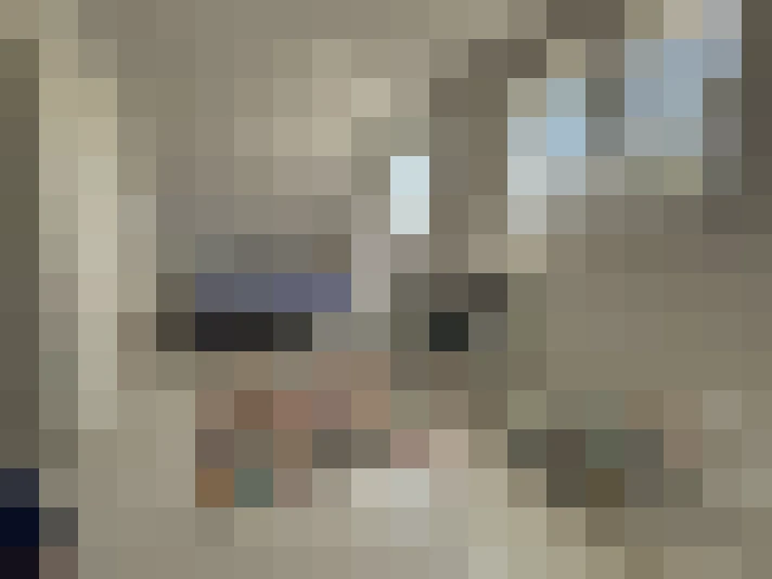  / #11
