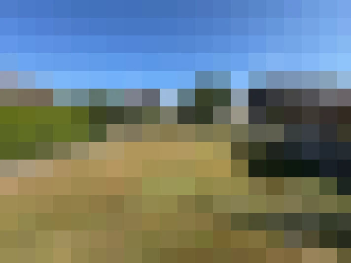  / #14