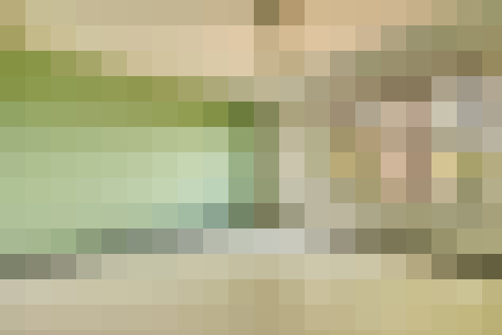  / #12